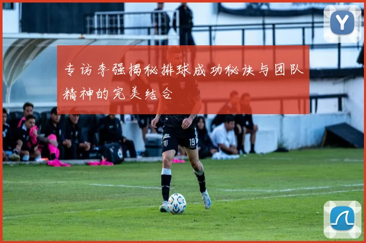 专访李强揭秘排球成功秘诀与团队精神的完美结合